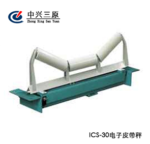 ICS-30系列電子皮帶秤